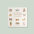 Our Big Book of First Words (Baby Board Book)